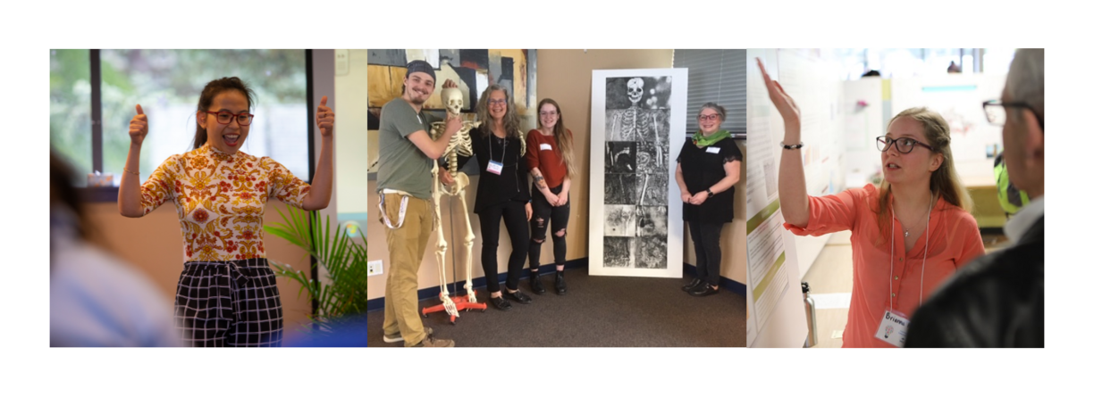 Undergraduate Research Courses