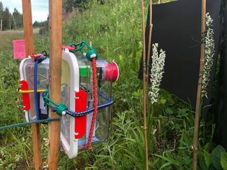 Raspberry Pi motion detection cameras