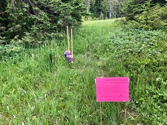 camera stations with informative signs